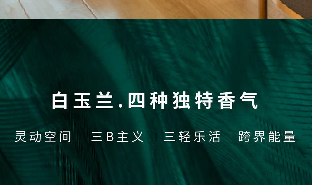 白玉兰酒店简介