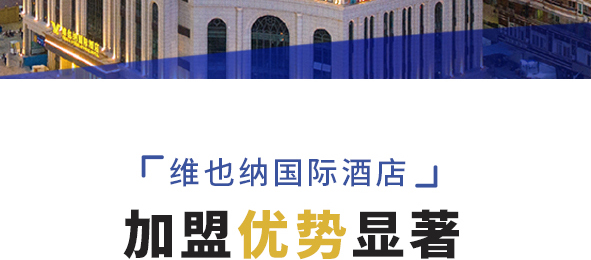 维也纳国际酒店简介