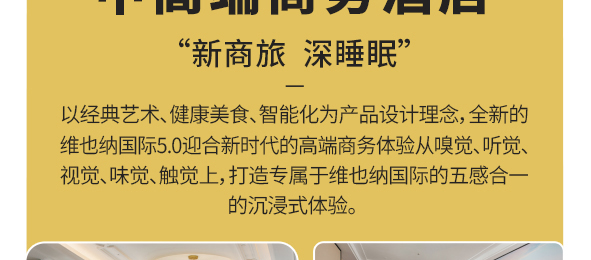 维也纳国际酒店简介