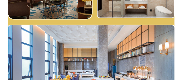 维也纳国际酒店简介