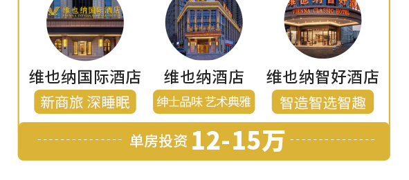 维也纳国际酒店简介