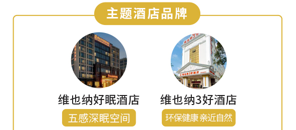 维也纳国际酒店简介