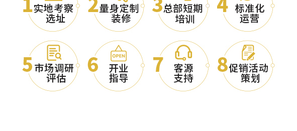 维也纳国际酒店简介